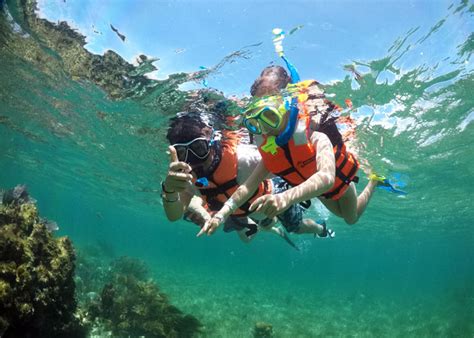 Dive into Crystal Clear Waters: Snorkeling Experiences on Magic Island
